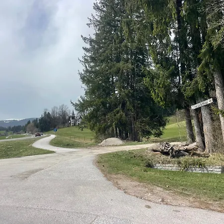 Katarina's Cozy Bad Mitterndorf